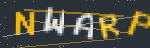 자동입력 방지 문자
